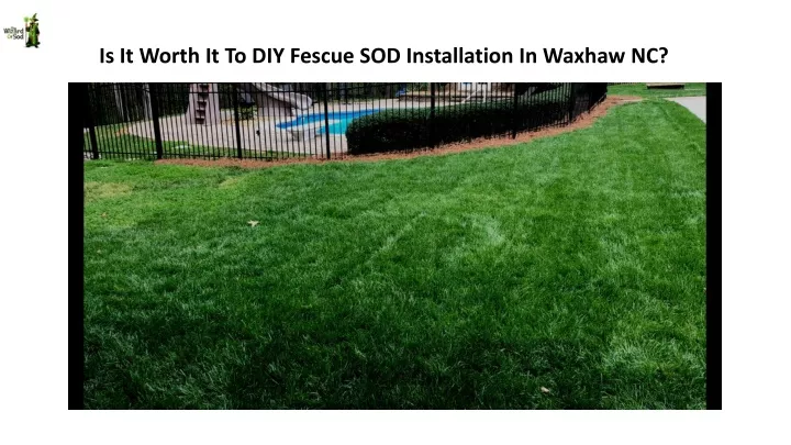 is it worth it to diy fescue sod installation