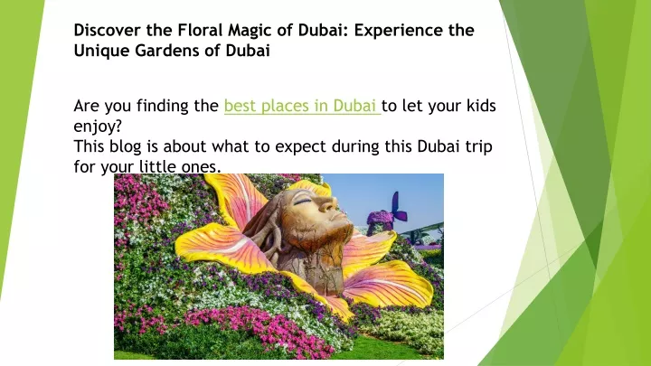 discover the floral magic of dubai experience