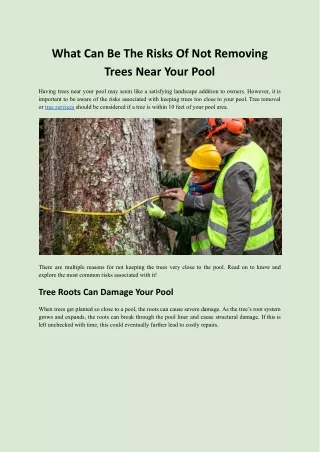What Can Be The Risks Of Not Removing Trees Near Your Pool