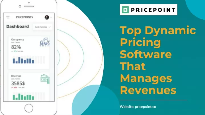 top dynamic pricing software that manages revenues