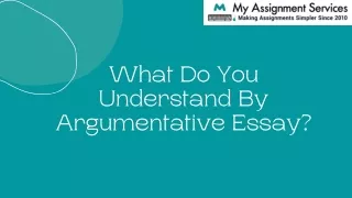 What Do You Understand By Argumentative Essay (1)