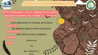 Indicadores de la calidad de los suelos_ una nueva manera de evaluar este recurso.pptx