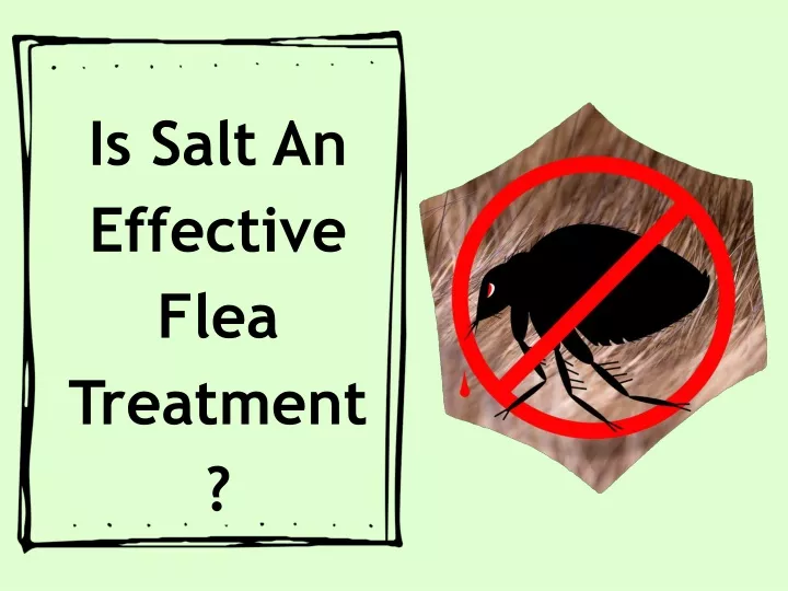 is salt an effective flea treatment