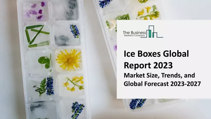 ice boxes global report 2023 market size trends