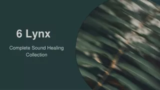 6 Lynx Shares 5 Benefits of Sound Healing