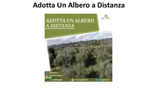 Adotta Un Albero a Distanza