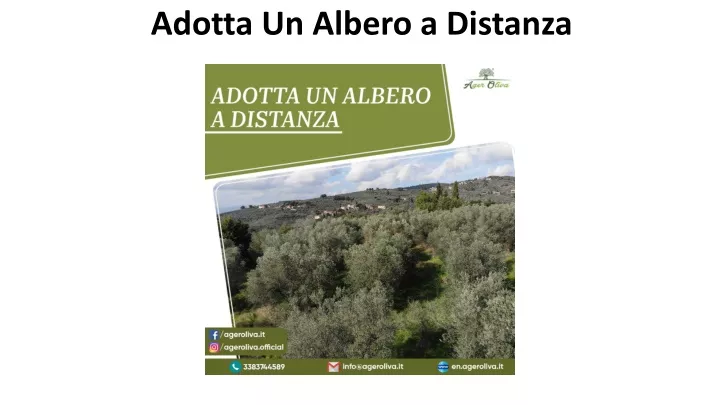 adotta un albero a distanza