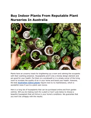 Buy Indoor Plants From Reputable Plant Nurseries In Australia