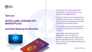 Get your White-label OpenSea NFT Marketplace and Start Reaping the Benefits