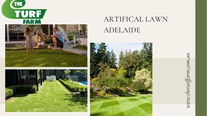 artifical lawn adelaide