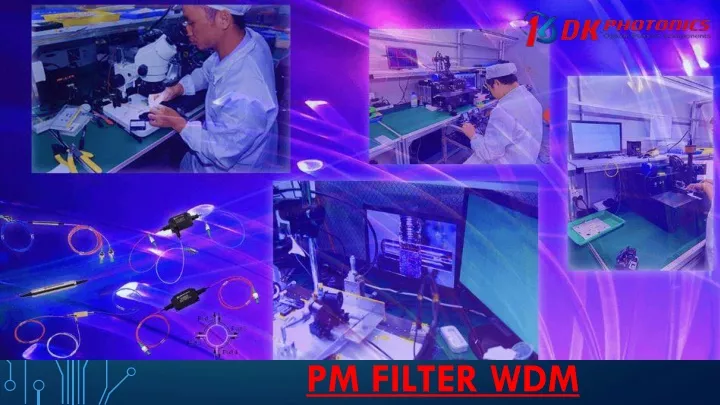 pm filter wdm