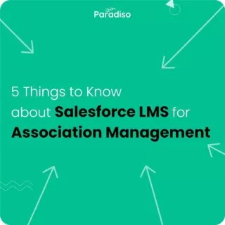 5 things to know about salesforce LMS | Paradiso Solutions