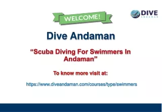 dive andaman