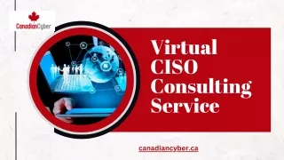 Best Virtual CISO in Canadian Cyber