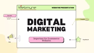 Digital Marketing Important for An Ecommerce Websites