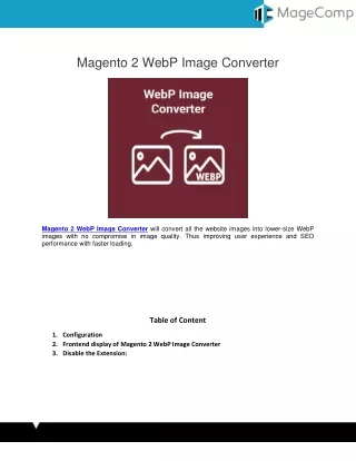 Magento 2 WebP Image Converter Extension