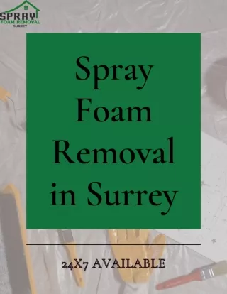 Choose a Reputable Company for Spray Foam Removal in Surrey