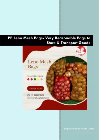 PP Leno Mesh Bags Very Reasonable Bags to Store & Transport Goods