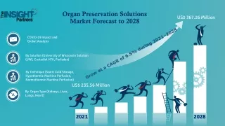 Organ Preservation Solutions Market to Hit US$ 367.26 Million Mn by 2028; The In