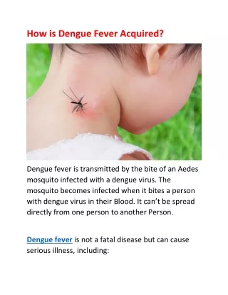 How is Dengue Fever Acquired