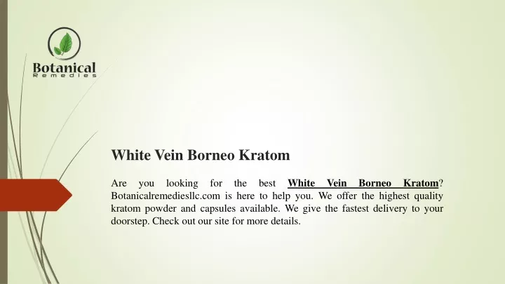 white vein borneo kratom