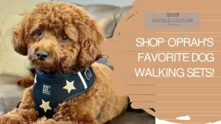 Shop Oprah's Favorite Dog Walking Sets - Doodle Couture