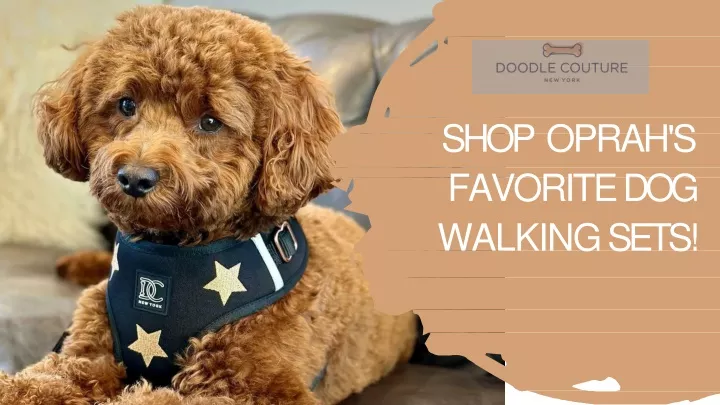 shop oprah s favorite dog walking sets