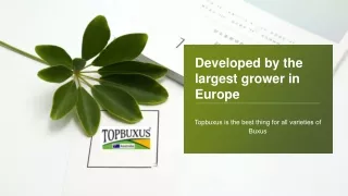 developed by the largest grower in europe