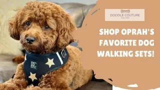 Shop Oprah's Favorite Dog Walking Sets - Doodle Couture