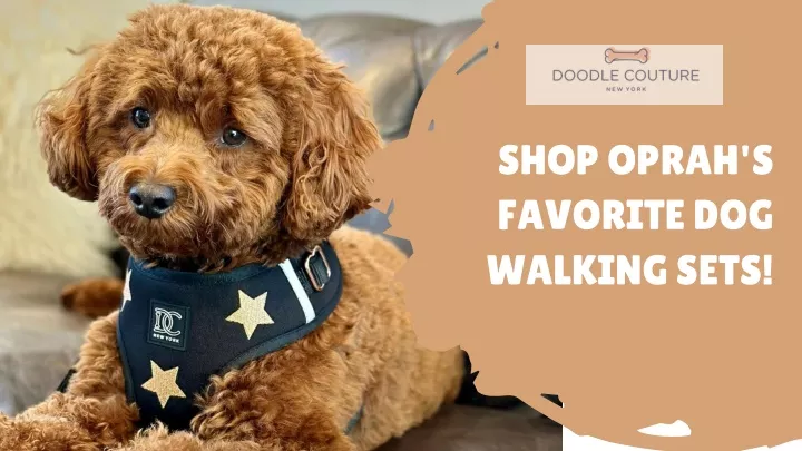 shop oprah s favorite dog walking sets