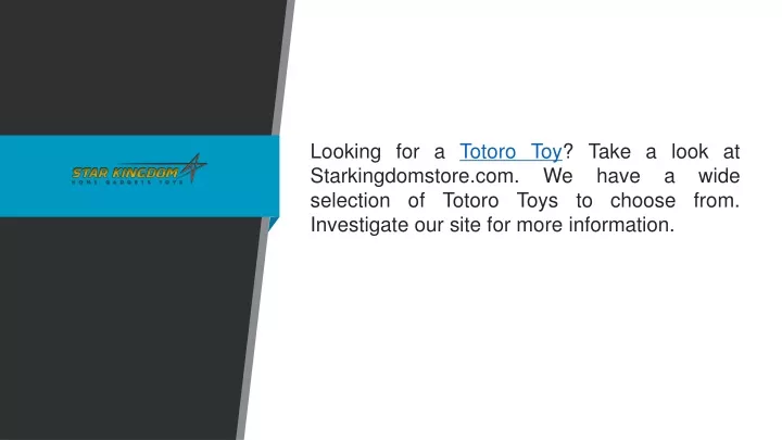 looking for a totoro toy take a look