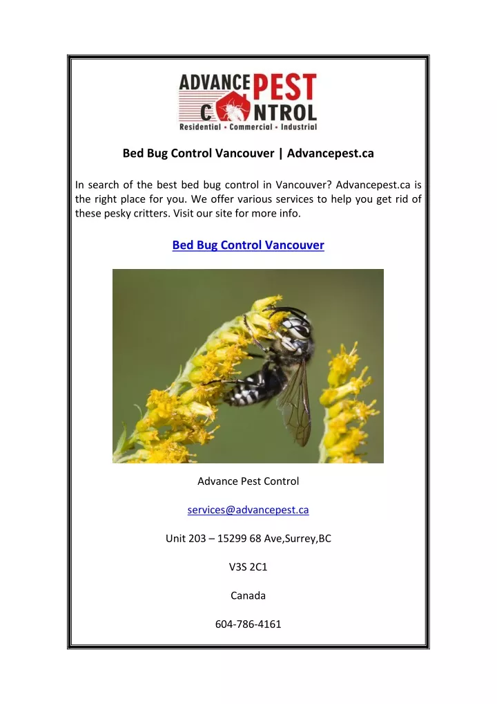 bed bug control vancouver advancepest ca