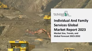 individual and family services global market