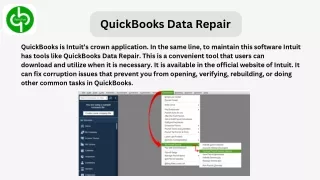 QuickBooks Data Repair