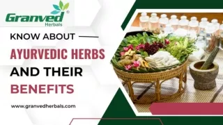 Know About Ayurvedic Herbs And Their Benefits