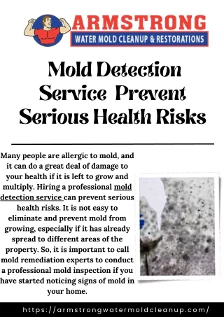 Get The Best Mold Detection Services in Fort Myers