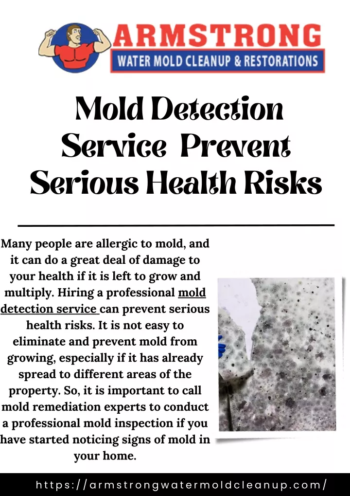 mold detection service prevent serious health