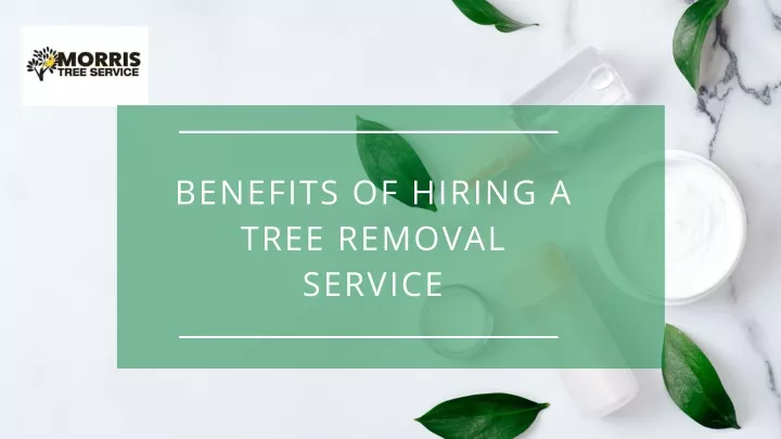 benefits of hiring a tree removal service