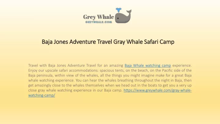 baja jones adventure travel gray whale safari camp