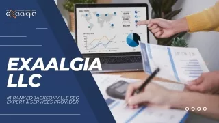 Exaalgia - Jacksonville SEO Expert