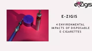 e z i g i s
