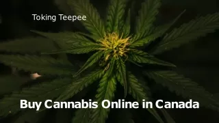 Canada Wide Weed Delivery