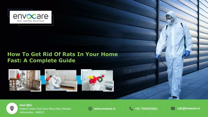 how to get rid of rats in your home fast