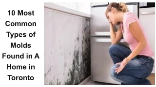 10 most common types of molds found in a home