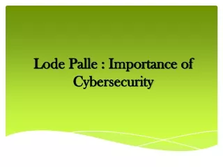 lode palle importance of cybersecurity
