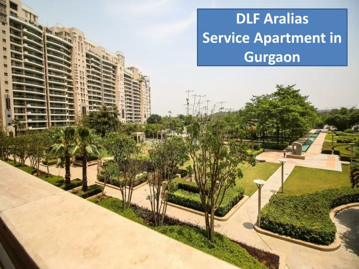 dlf aralias service apartment in gurgaon