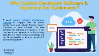 why custom developed software is important for businesses