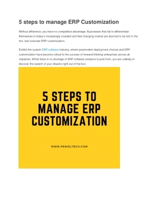 5 Steps to manage ERP Customization - Penieltech