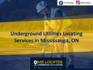 mslocates