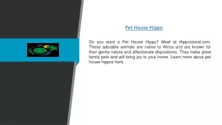 Pet House Hippo | Hippoisland.com